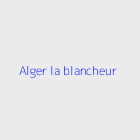 Agence immobiliere Alger la blancheur